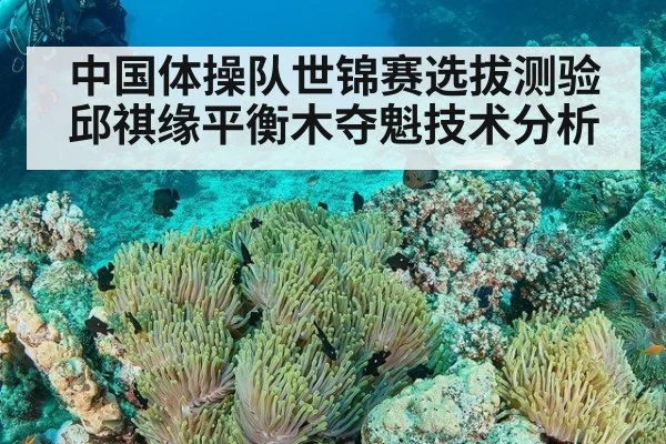 中国体操队世锦赛选拔测验邱祺缘平衡木夺魁技术分析